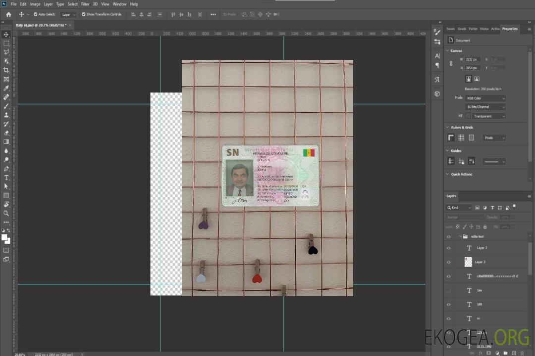 Sénégal DL photolook DEVANT template